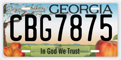 GA license plate CBG7875