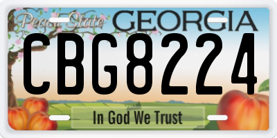 GA license plate CBG8224