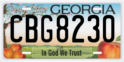 GA license plate CBG8230