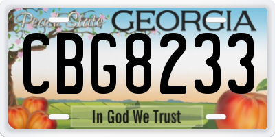 GA license plate CBG8233