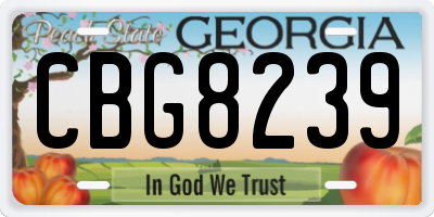 GA license plate CBG8239