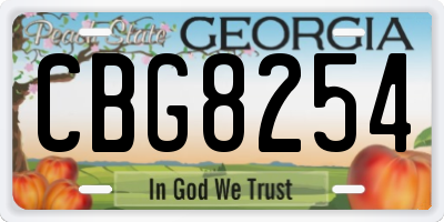 GA license plate CBG8254