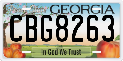 GA license plate CBG8263