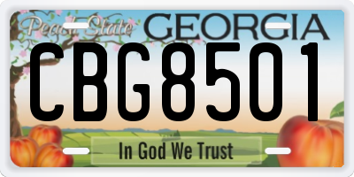 GA license plate CBG8501