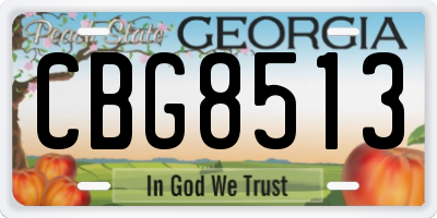 GA license plate CBG8513