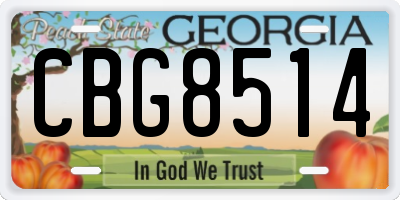 GA license plate CBG8514
