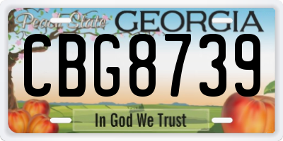 GA license plate CBG8739