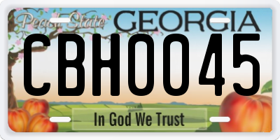 GA license plate CBH0045