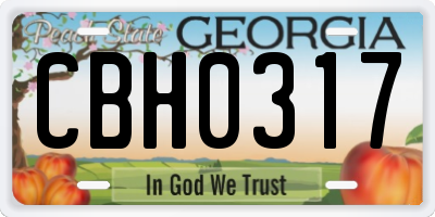 GA license plate CBH0317