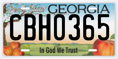 GA license plate CBH0365