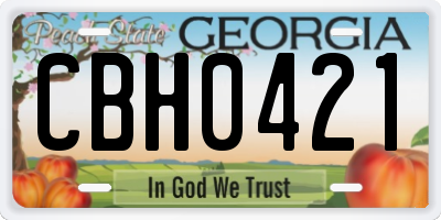 GA license plate CBH0421