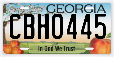 GA license plate CBH0445