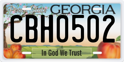 GA license plate CBH0502