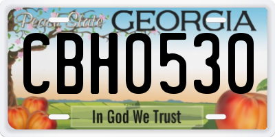 GA license plate CBH0530