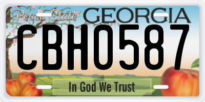 GA license plate CBH0587