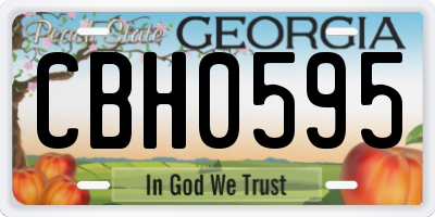 GA license plate CBH0595