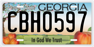 GA license plate CBH0597