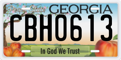 GA license plate CBH0613