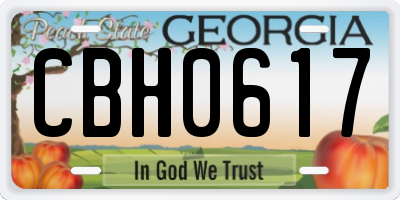 GA license plate CBH0617