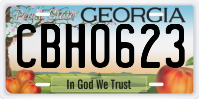 GA license plate CBH0623