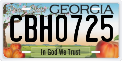 GA license plate CBH0725