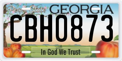 GA license plate CBH0873