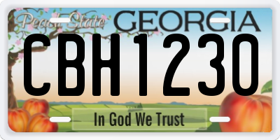 GA license plate CBH1230