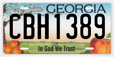 GA license plate CBH1389