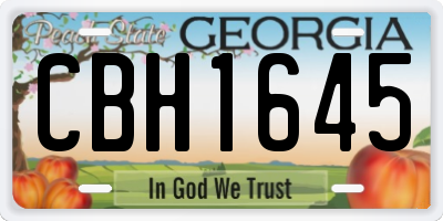 GA license plate CBH1645