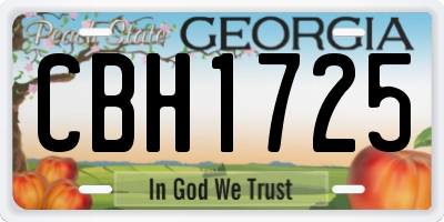 GA license plate CBH1725