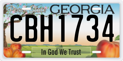 GA license plate CBH1734