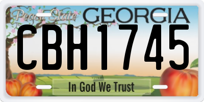 GA license plate CBH1745