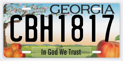 GA license plate CBH1817