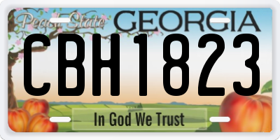 GA license plate CBH1823