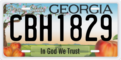 GA license plate CBH1829