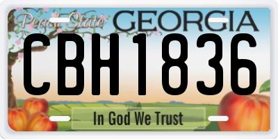 GA license plate CBH1836