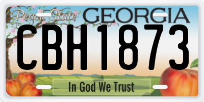 GA license plate CBH1873