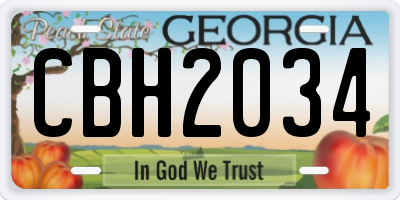 GA license plate CBH2034