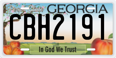 GA license plate CBH2191
