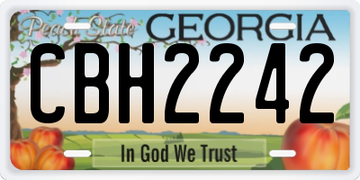 GA license plate CBH2242