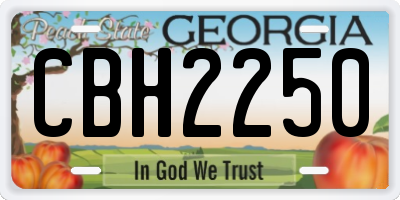 GA license plate CBH2250