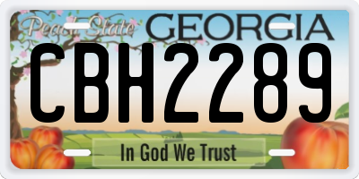 GA license plate CBH2289