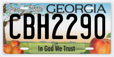 GA license plate CBH2290