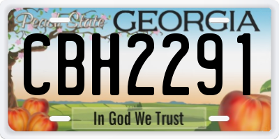 GA license plate CBH2291