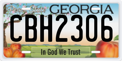 GA license plate CBH2306