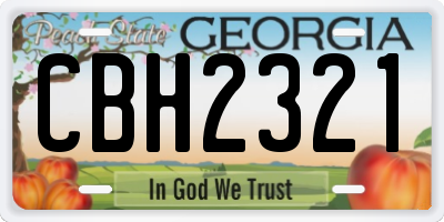 GA license plate CBH2321