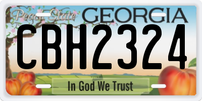 GA license plate CBH2324