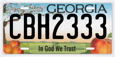GA license plate CBH2333