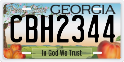 GA license plate CBH2344