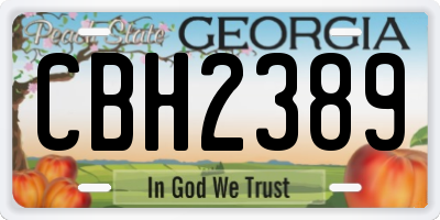 GA license plate CBH2389